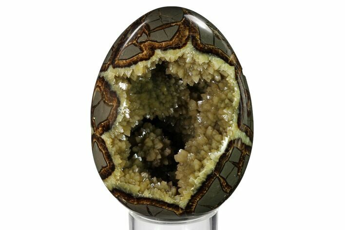 Calcite Crystal Filled Septarian Geode Egg - Utah #160272